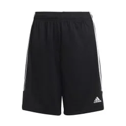 ADIDAS Pantalón Corto Sereno
